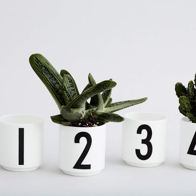 Advent Set White Mini Cups + Candle Holders